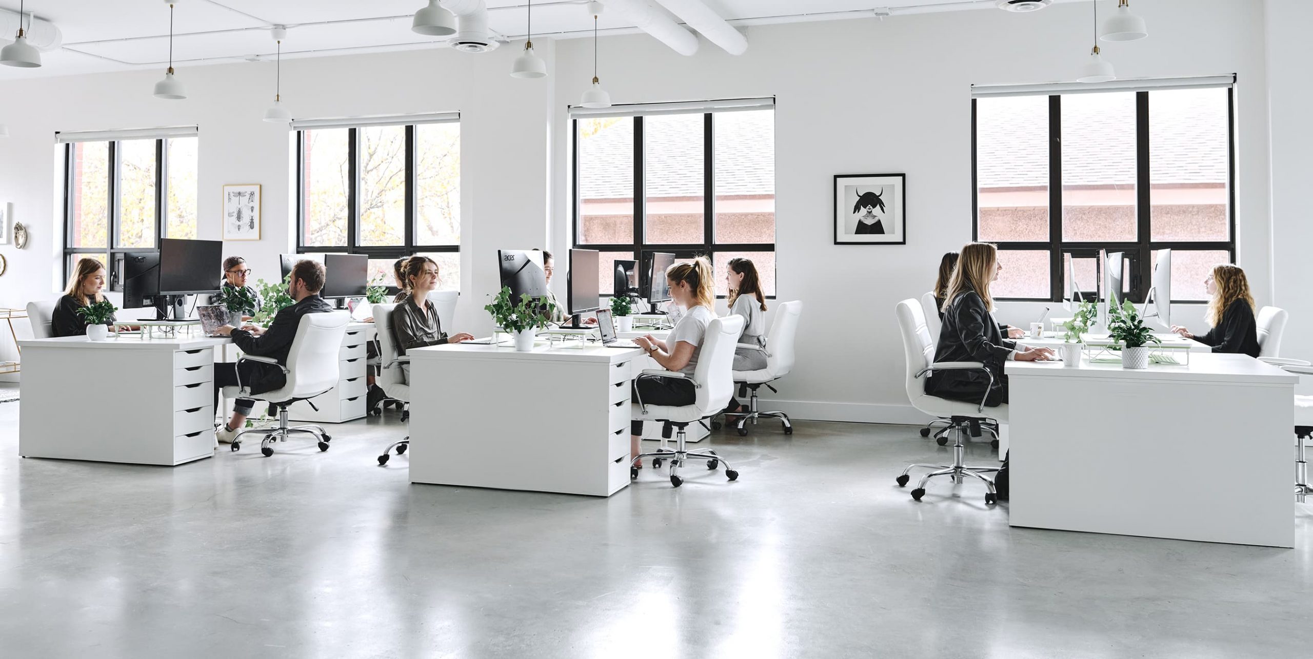 young professionals working at white desks